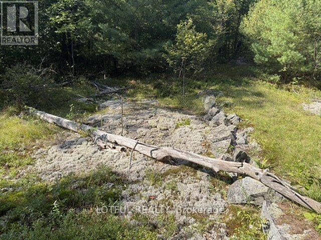 101 Maberly Station Road — photo 30 of 35
