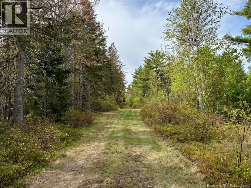 1892 Route 460 — photo 10 of 15