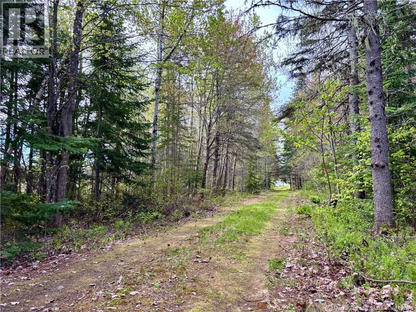 1892 Route 460 — photo 9 of 15