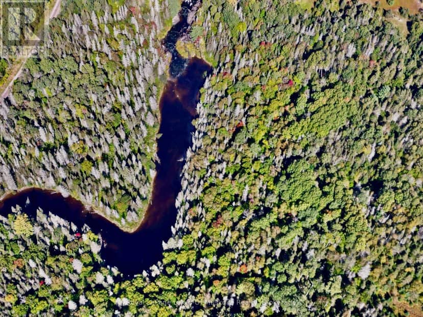 Pt Lt 7 Con 10 Pickerel & Jack Lake Road — photo 11 of 13