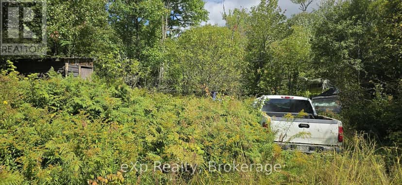 1331 Miller Road, Magnetawan, photo 4