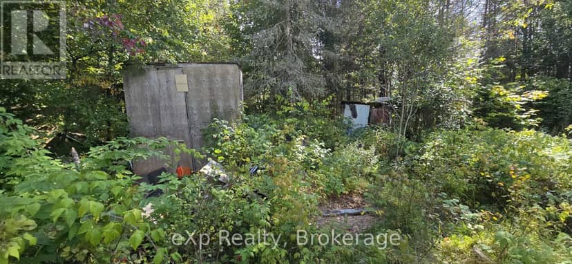 1331 Miller Road, Magnetawan, photo 8