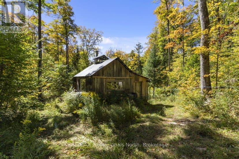 1147 McCrea Road — photo 39 of 40