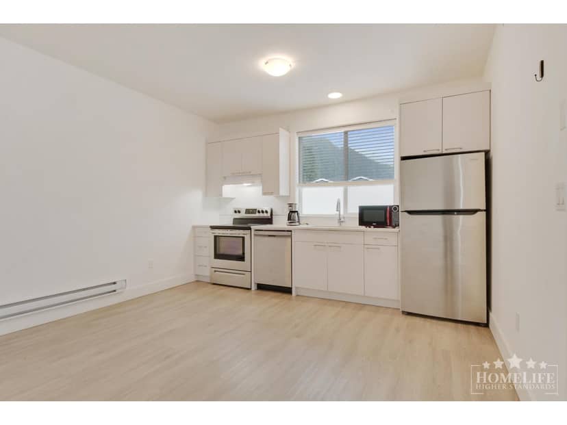 Basement 20157 BEACON ROAD, Hope, Hope, photo 7