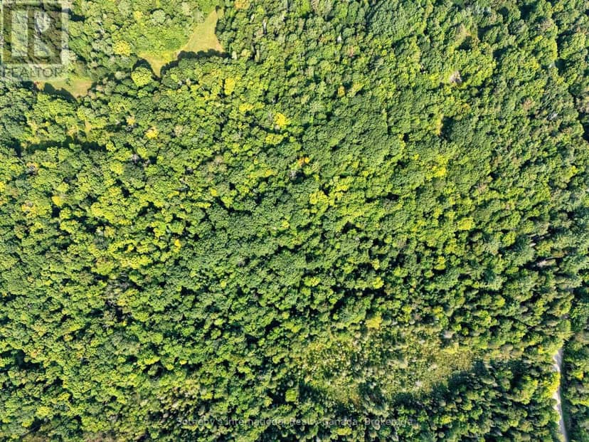 1045 B Browns Brae Road, Lake of Bays, photo 7