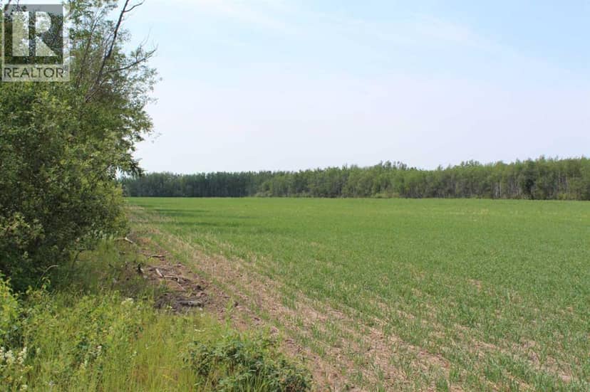 125 Range Road SE, Fort Vermilion, photo 2