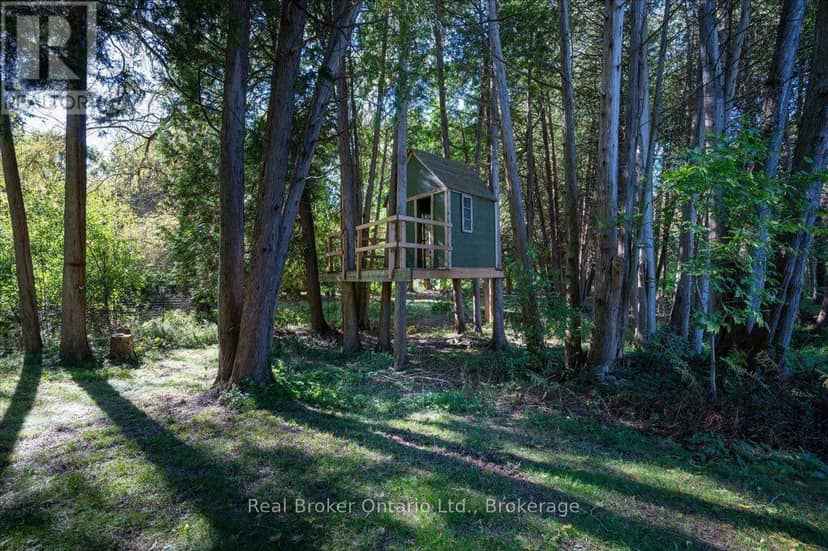 36 Ash Street — photo 39 of 40