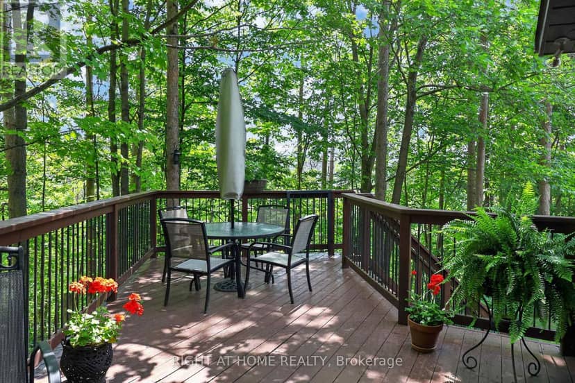 5 Pine Point — photo 1 of 40