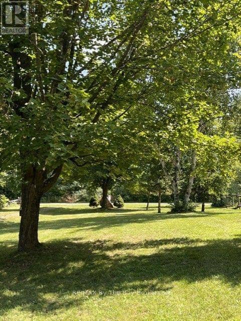 82 Mary Street, Clearview, photo 6
