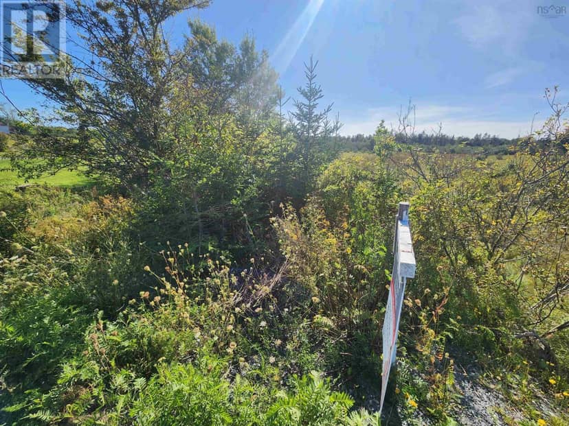 22 acre 215 Highway — photo 12 of 12