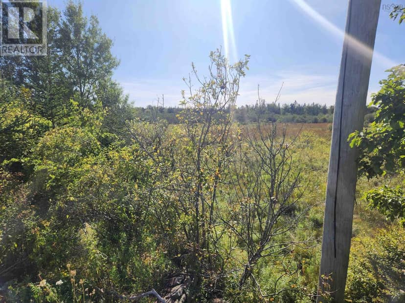 22 acre 215 Highway, Maitland, photo 4