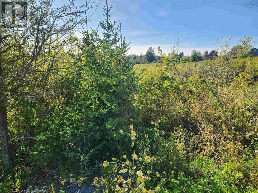 22 acre 215 Highway, Maitland, photo 7