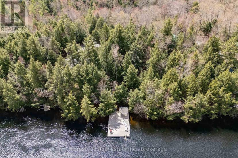 13-1630 Muskoka District Road 38 Road — photo 40 of 40