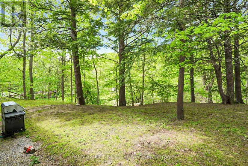 1436 Highbush Trail — photo 38 of 40