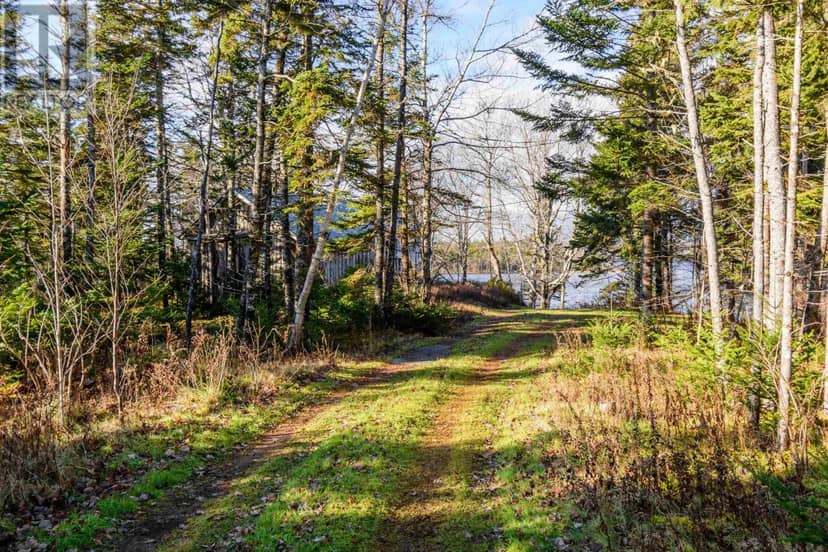 4031 Loch Lomond Road, Loch Lomond, photo 3