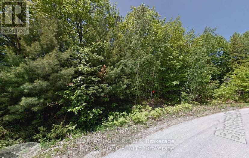 2 Birchwood Trail — photo 2 of 7