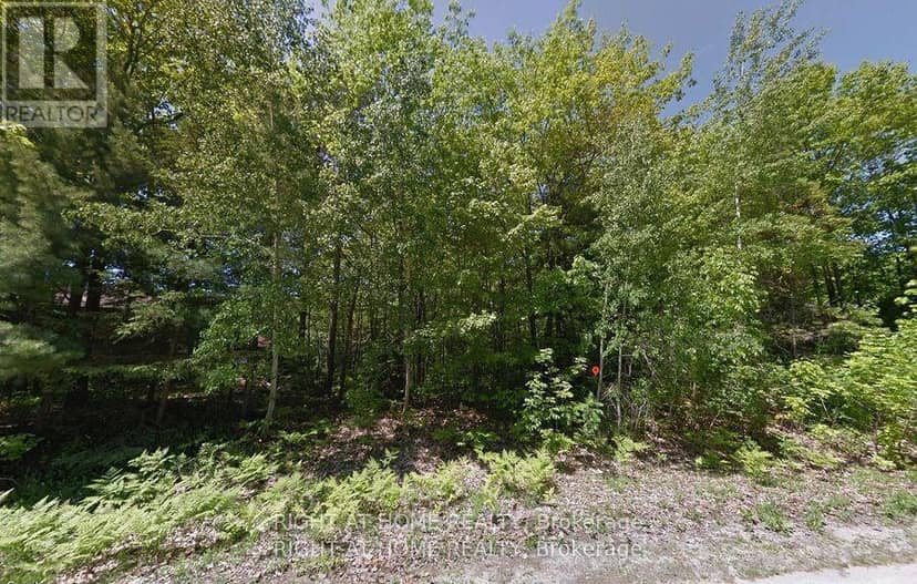 2 Birchwood Trail — photo 1 of 7
