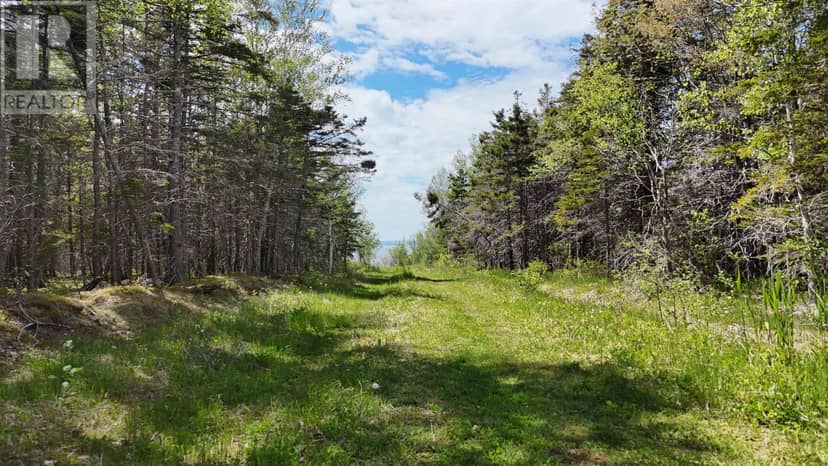 7.5 acre Highway 4 — photo 3 of 15