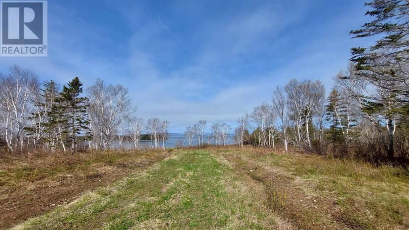 7.3 acre Highway 4 — photo 10 of 15