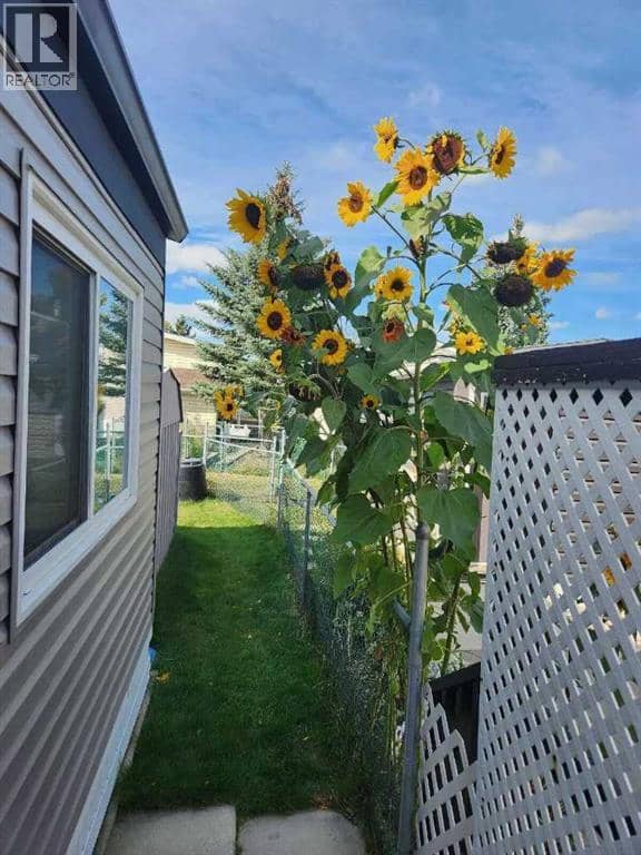 189, 99 Arbour Lake Road NW — photo 38 of 38