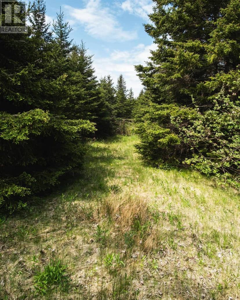 Highway 19 Highway — photo 17 of 23