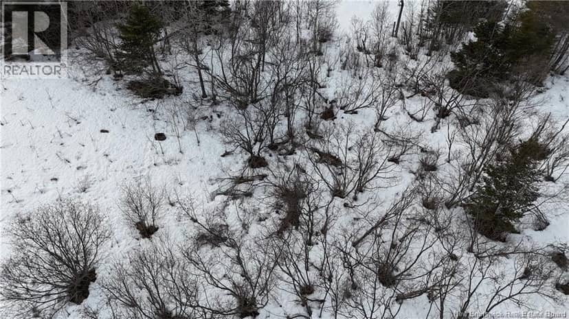 Goldsworthy Road — photo 6 of 7