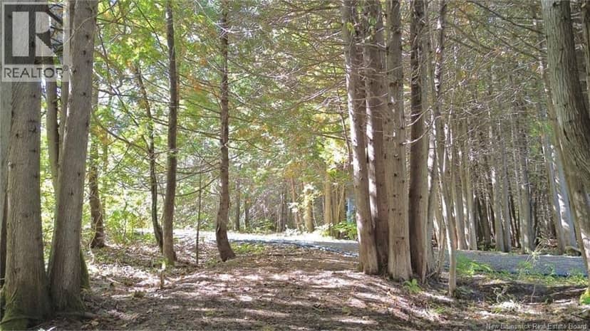 chemin LaPlante Nord — photo 38 of 40