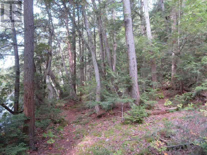 1071 Dotty Lake Road — photo 35 of 37