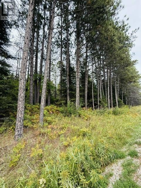 PT LOT 8 PCL 14599A Highway 17 East — photo 9 of 15