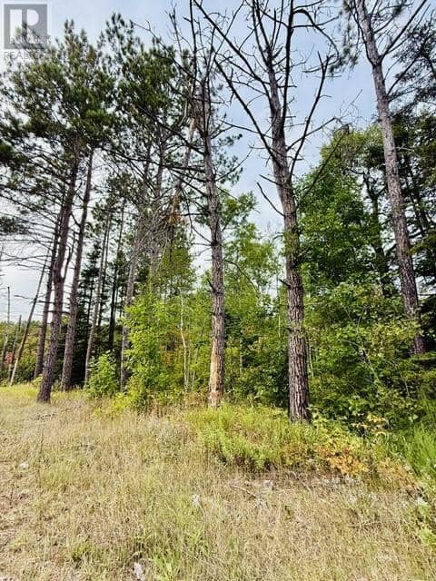 PT LOT 8 PCL 14599A Highway 17 East — photo 12 of 15