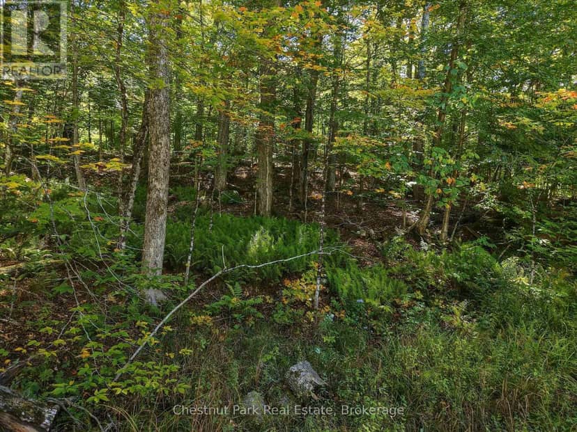 0 Estonian Camp Road — photo 9 of 18