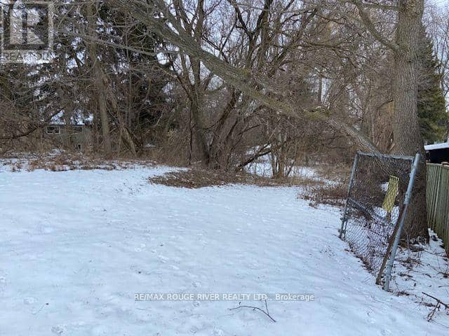 72 Meadowvale Road — photo 19 of 22