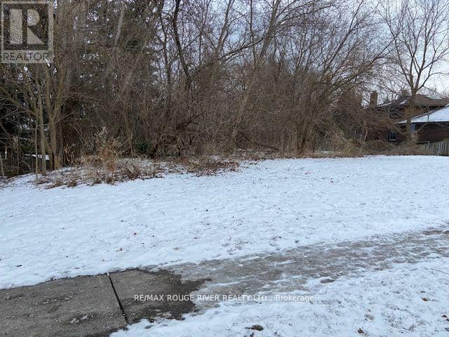 72 Meadowvale Road — photo 18 of 22