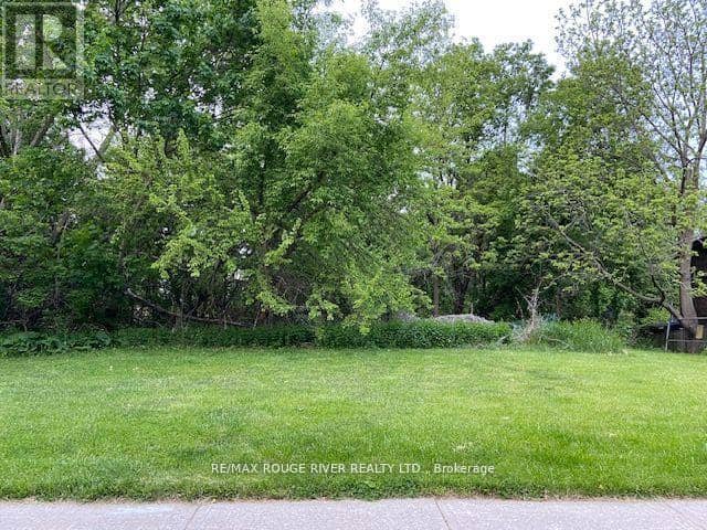 72 Meadowvale Road — photo 8 of 22