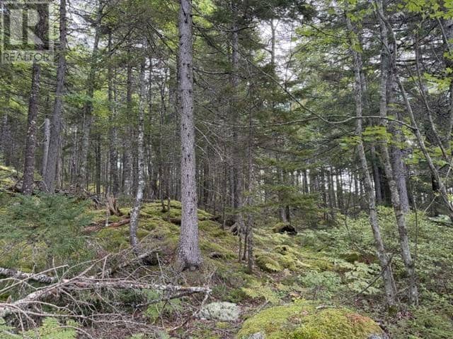 Lot 2 Tupper Lake — photo 15 of 17