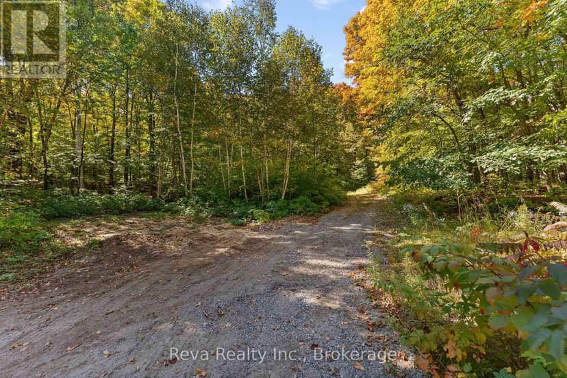219 Elgin Road — photo 20 of 31