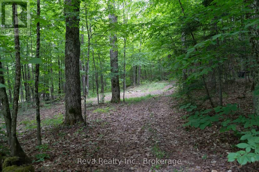 219 Elgin Road — photo 25 of 31