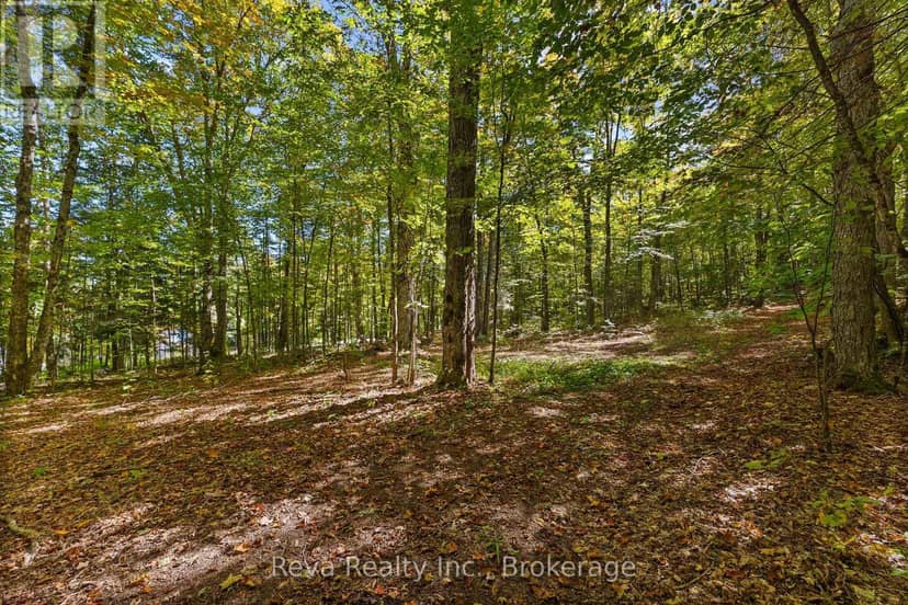 219 Elgin Road — photo 23 of 31