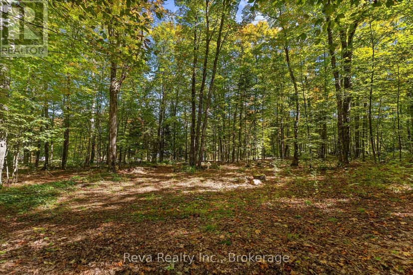 219 Elgin Road — photo 24 of 31