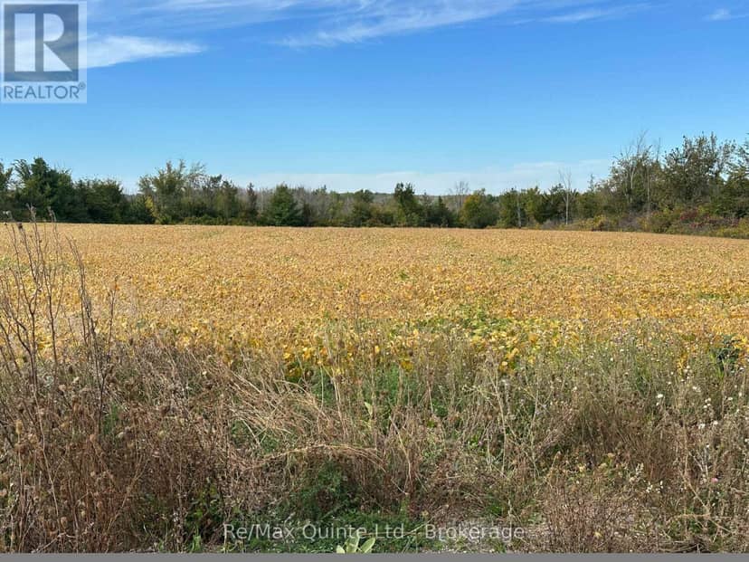 1807 Marysville Road, Tyendinaga, photo 2