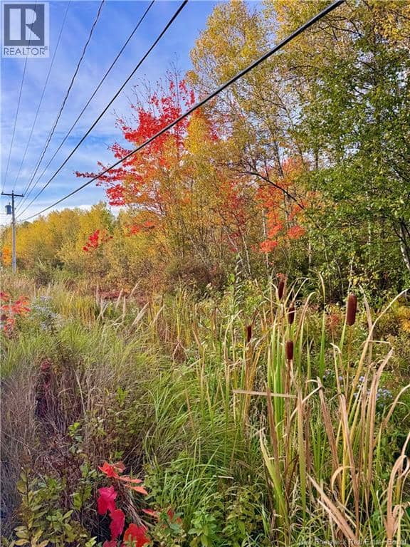 Vacant Lot Route 430, Miramichi, photo 2