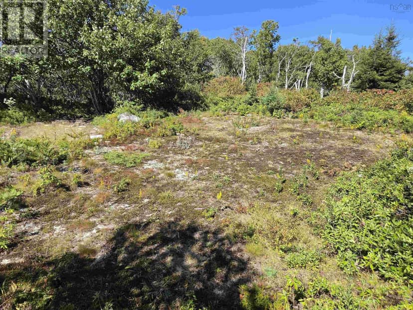 Lot 101 Kelly Point Drive — photo 17 of 34