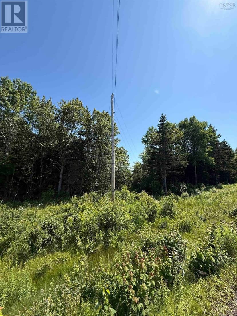 5569 Highway 105 Highway — photo 5 of 19