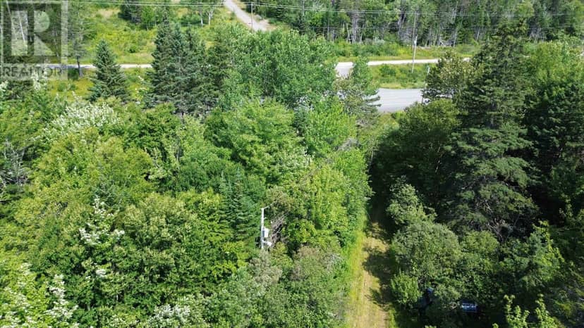 5569 Highway 105 Highway — photo 17 of 19