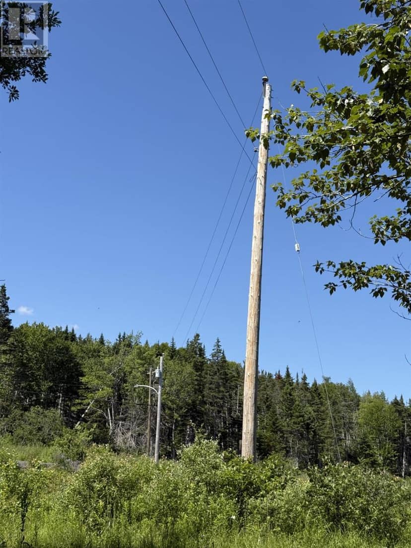 5569 Highway 105 Highway — photo 3 of 19