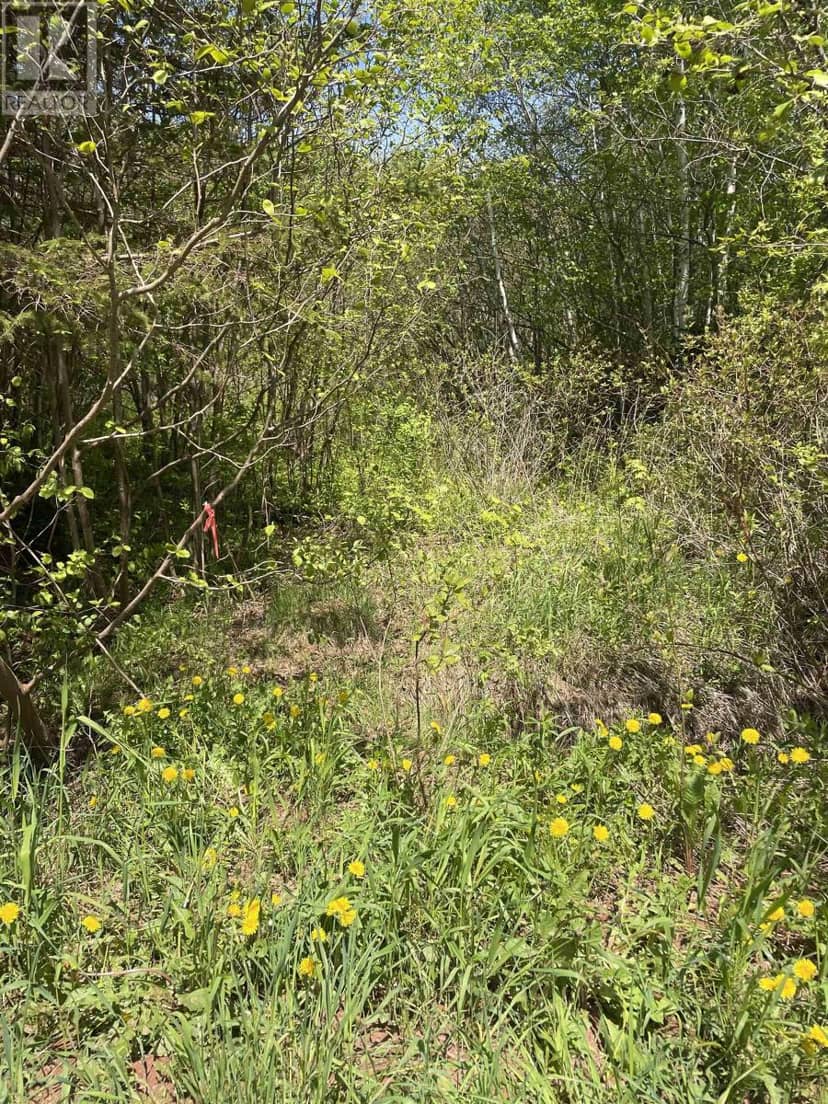 Glenwood — photo 4 of 18