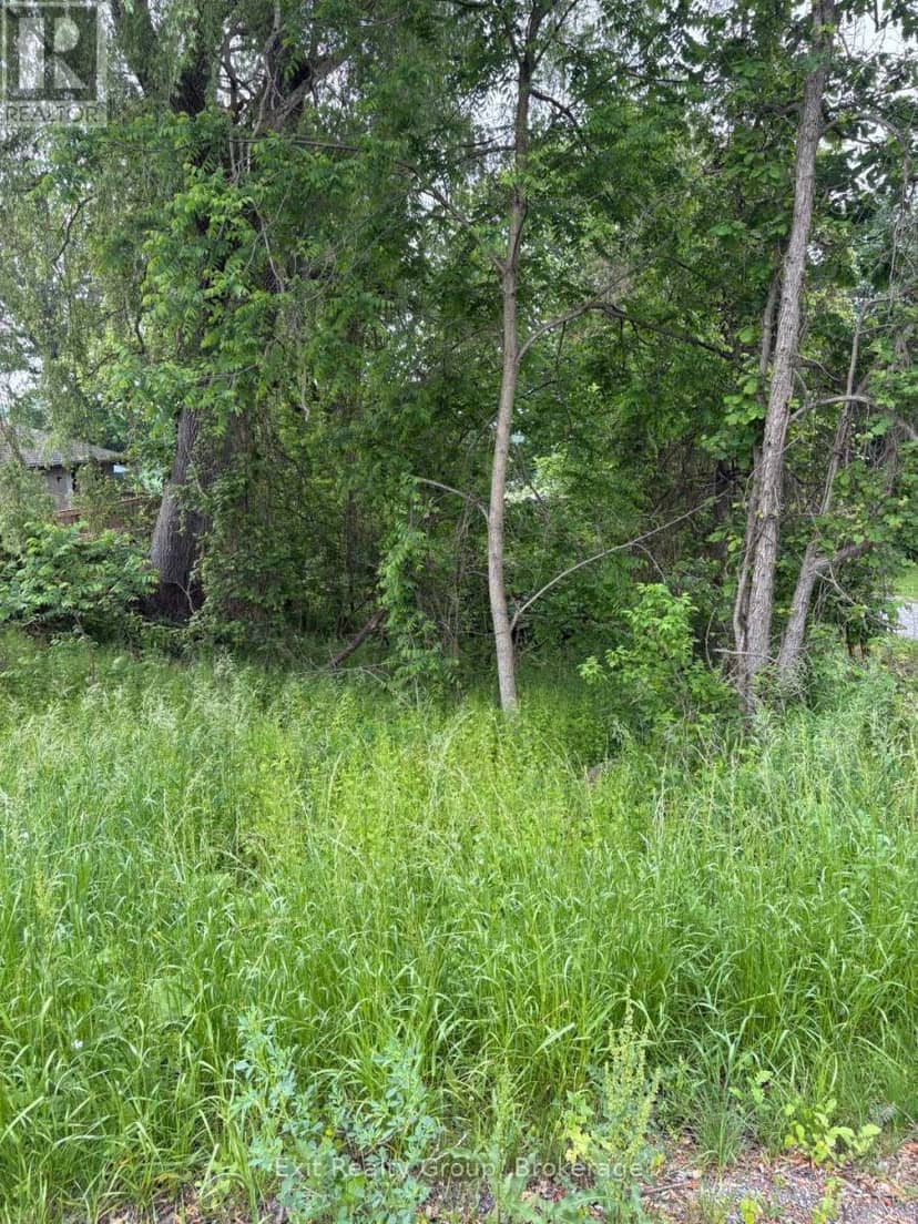 00 County Rd 5, Quinte West, photo 4