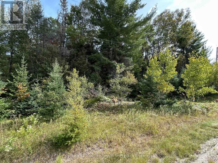 Pcl 28216 Highway 531, Bonfield, photo 3