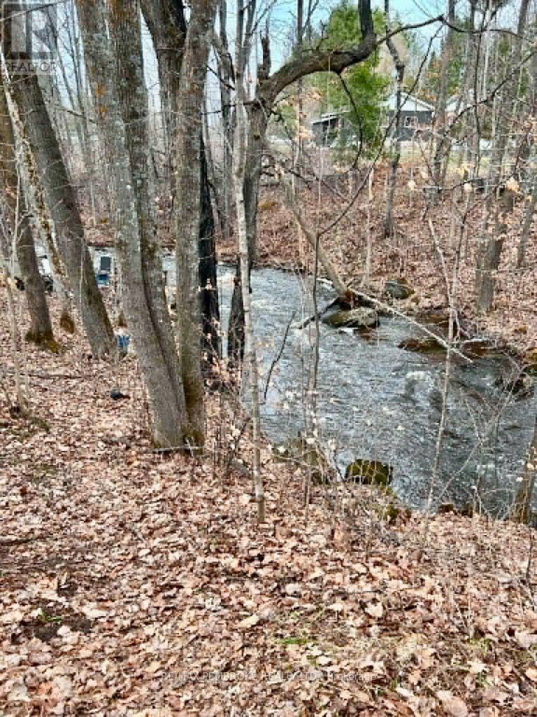 3396 B Line Road — photo 33 of 34