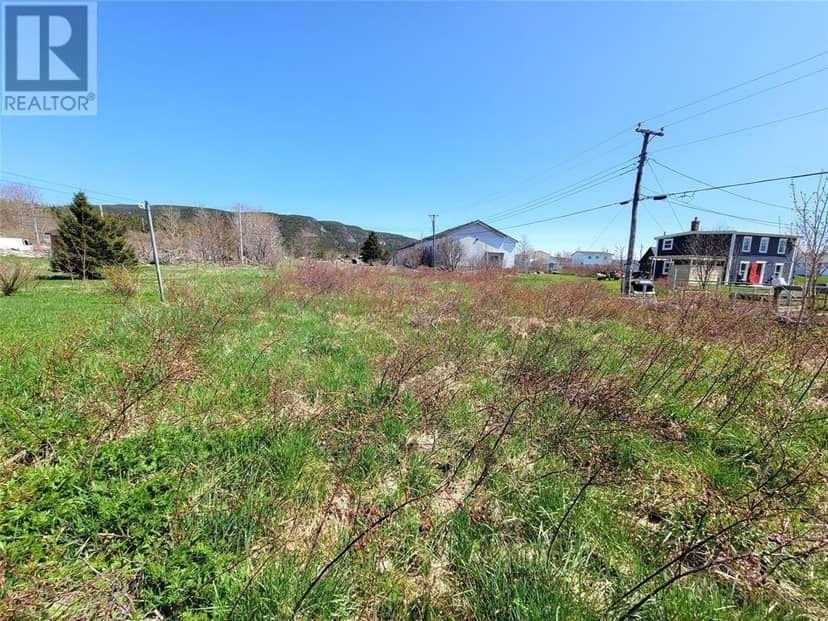 10A Tank Road, Hearts Content, photo 3
